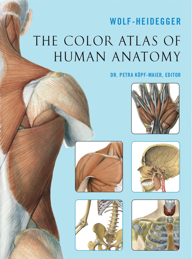 The Color Atlas of Human Anatomy by Wolf-Heidegger: 9781402742002 