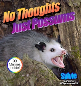 No Thoughts Just Possums