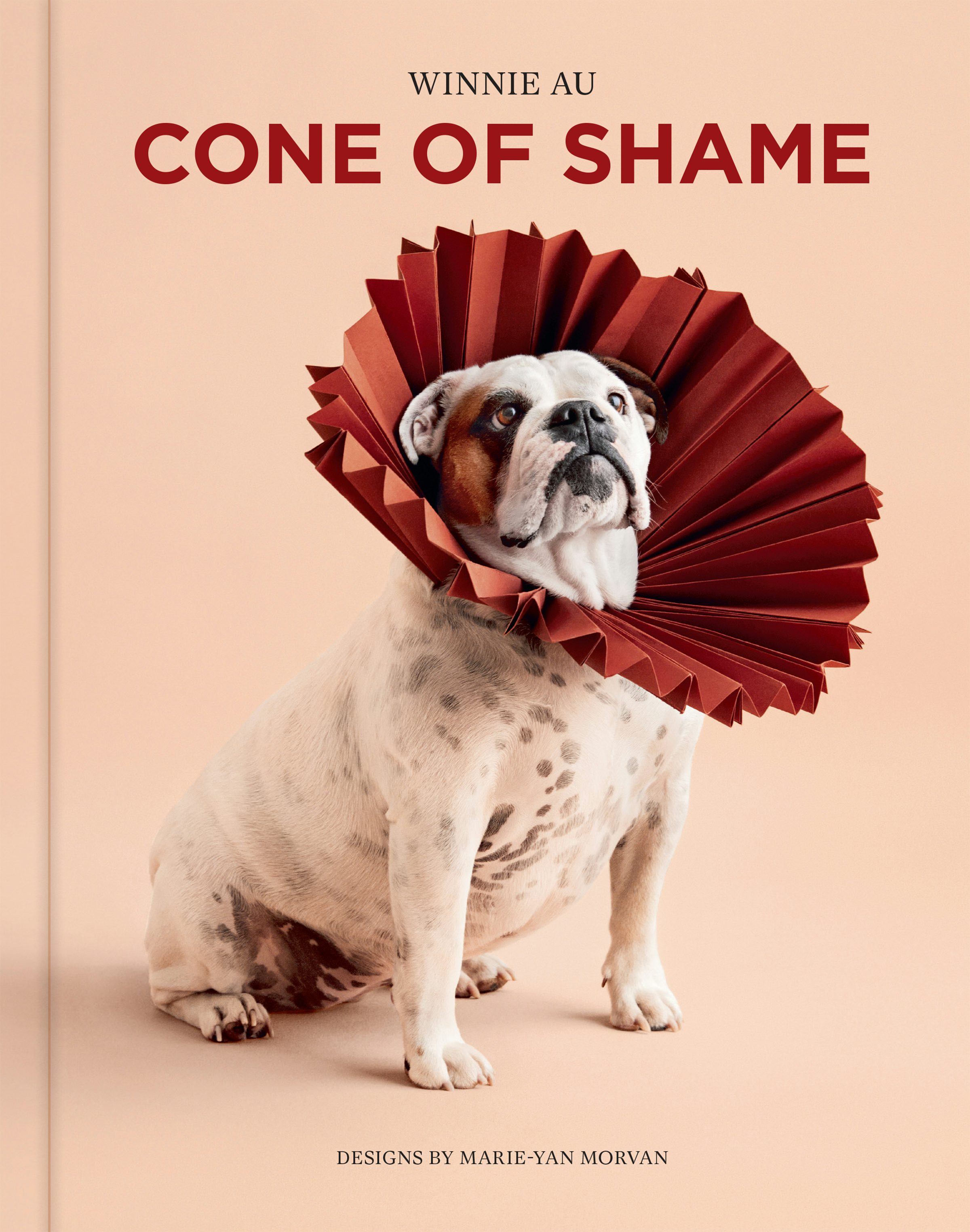 Cone of shop shame