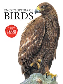 Encyclopedia of Birds