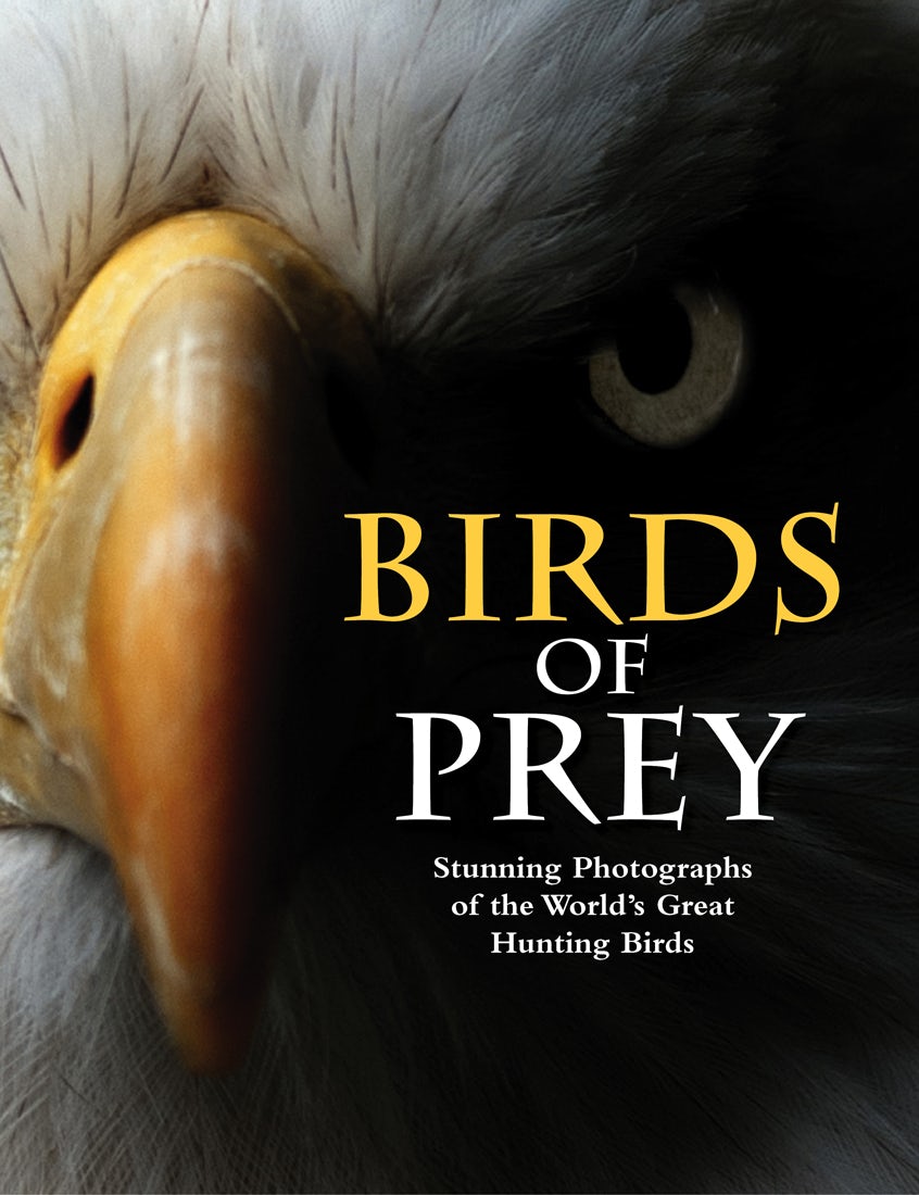 Birds of Prey by Tom Jackson: 9781838860950 - Union Square & Co.
