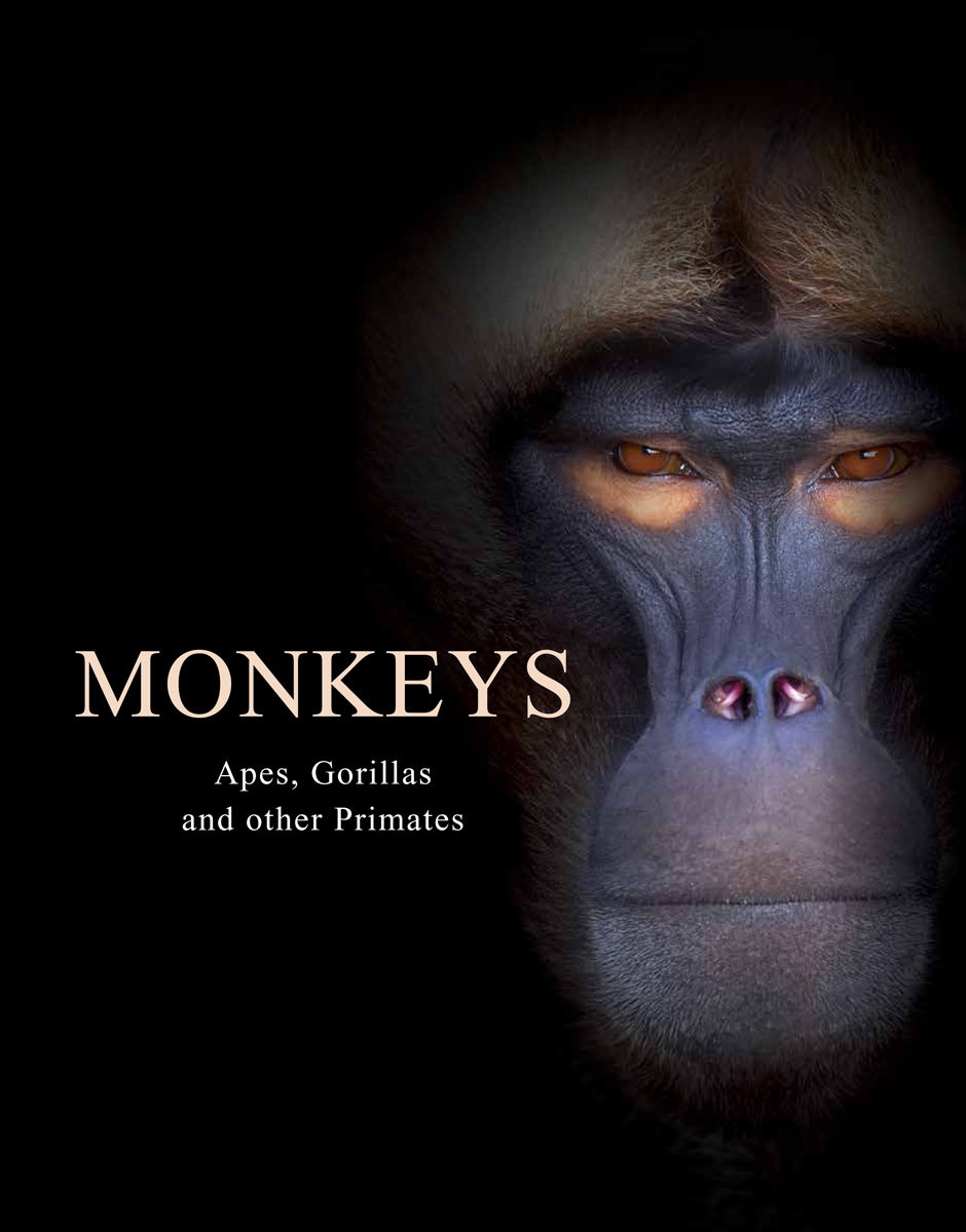 Monkeys by Tom Jackson: 9781838861001 - Union Square & Co.