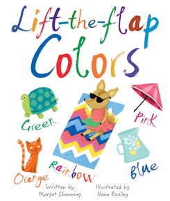 Lift-the-Flap Colors