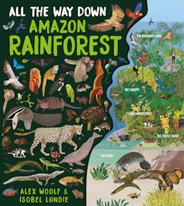 All the Way Down: Amazon Rainforest