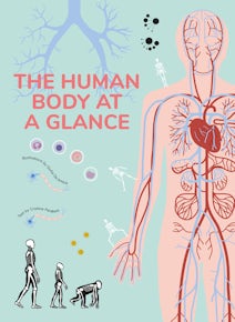 The Human Body at a Glance
