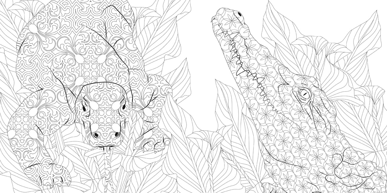 Wild Animals. Mystery Color by Number. Wildlife Coloring Book for Adults:  40 Black Background Artistic Animals and Wild Wonders. Choose your Favorite